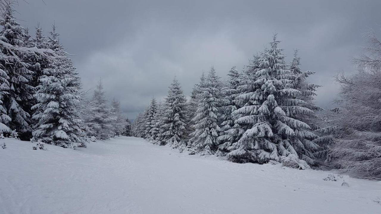 Villa Dom Trzech Braci Lądek-Zdrój Esterno foto