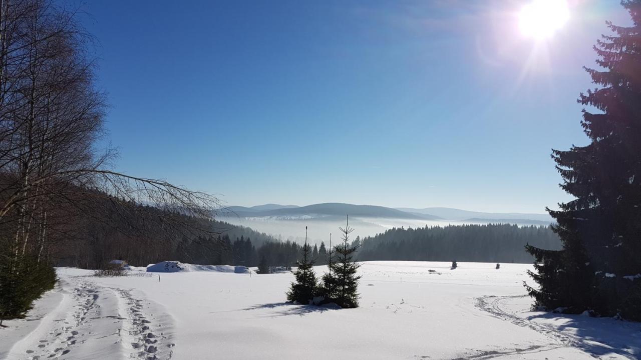 Villa Dom Trzech Braci Lądek-Zdrój Esterno foto