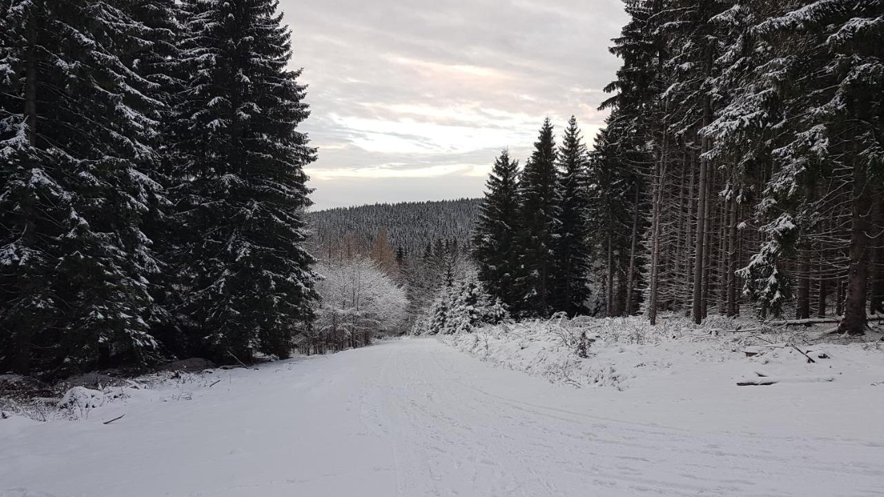 Villa Dom Trzech Braci Lądek-Zdrój Esterno foto