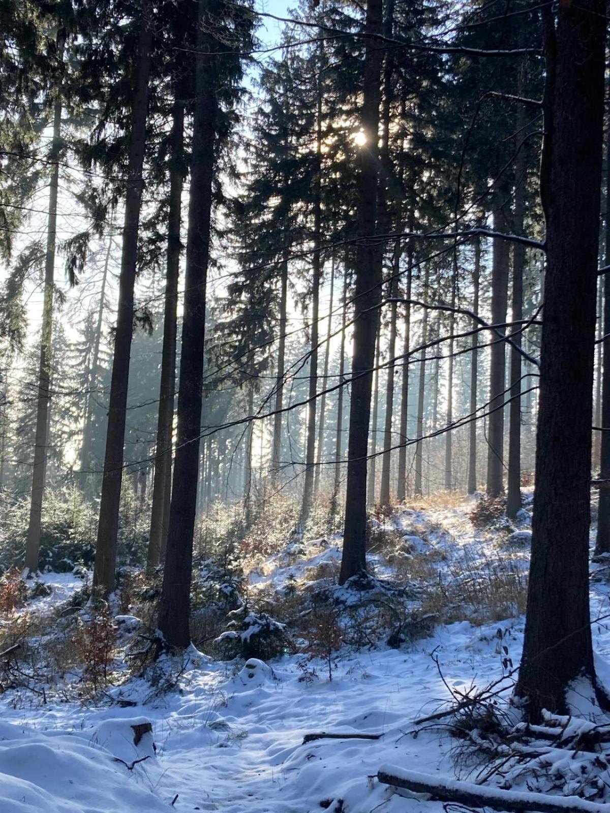 Villa Dom Trzech Braci Lądek-Zdrój Esterno foto