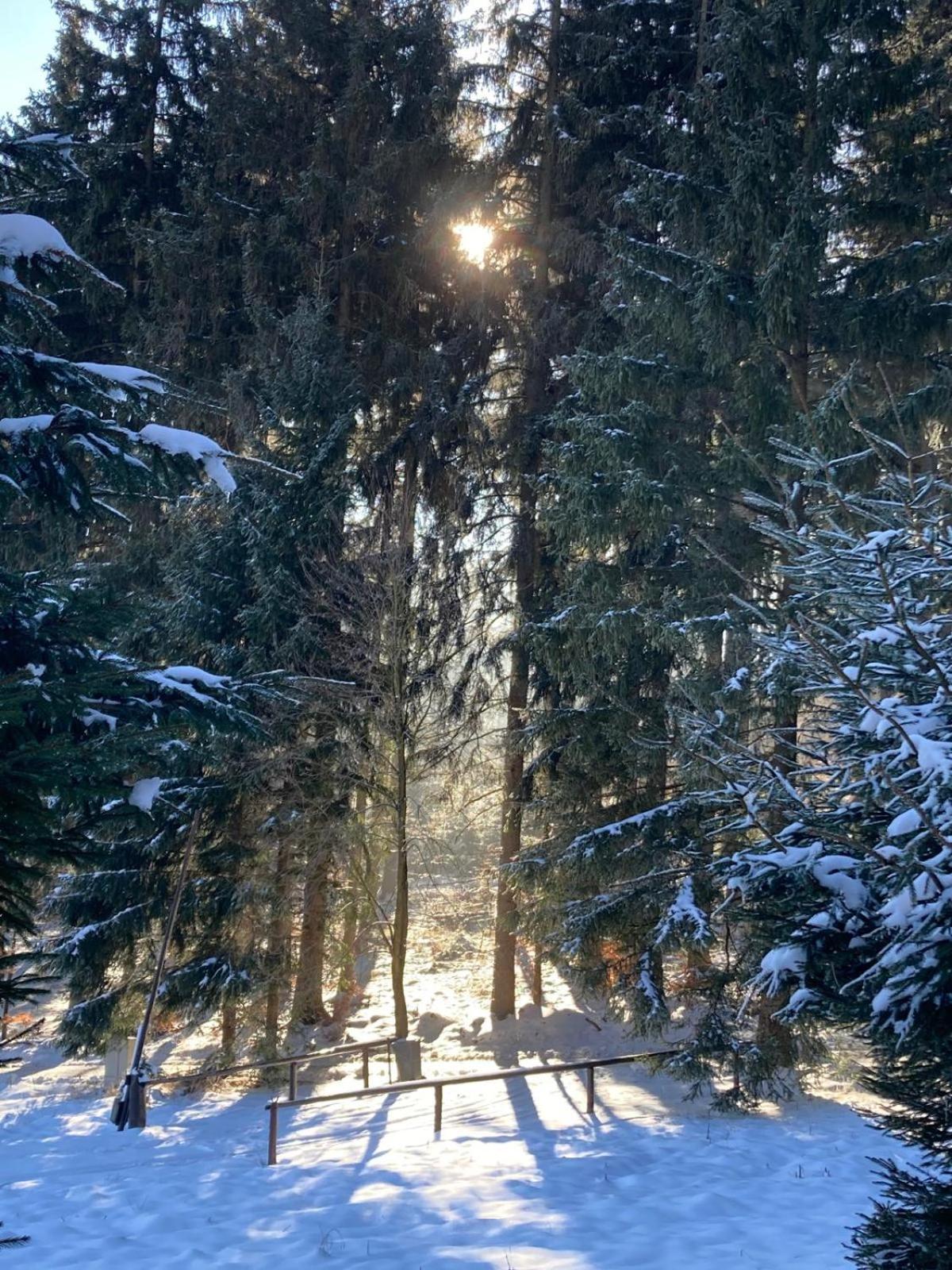 Villa Dom Trzech Braci Lądek-Zdrój Esterno foto