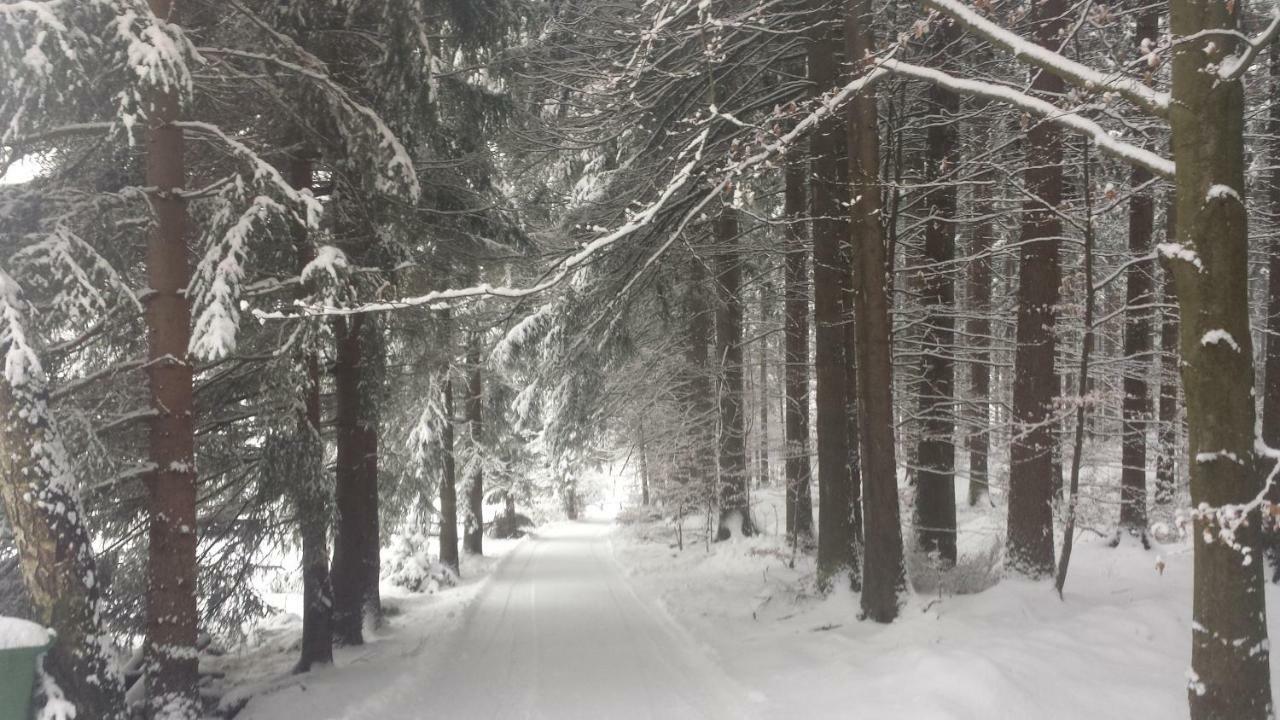 Villa Dom Trzech Braci Lądek-Zdrój Esterno foto
