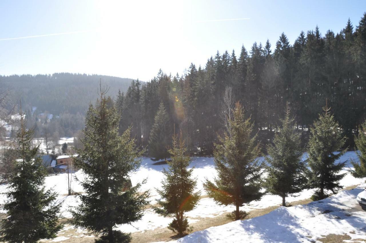 Villa Dom Trzech Braci Lądek-Zdrój Esterno foto