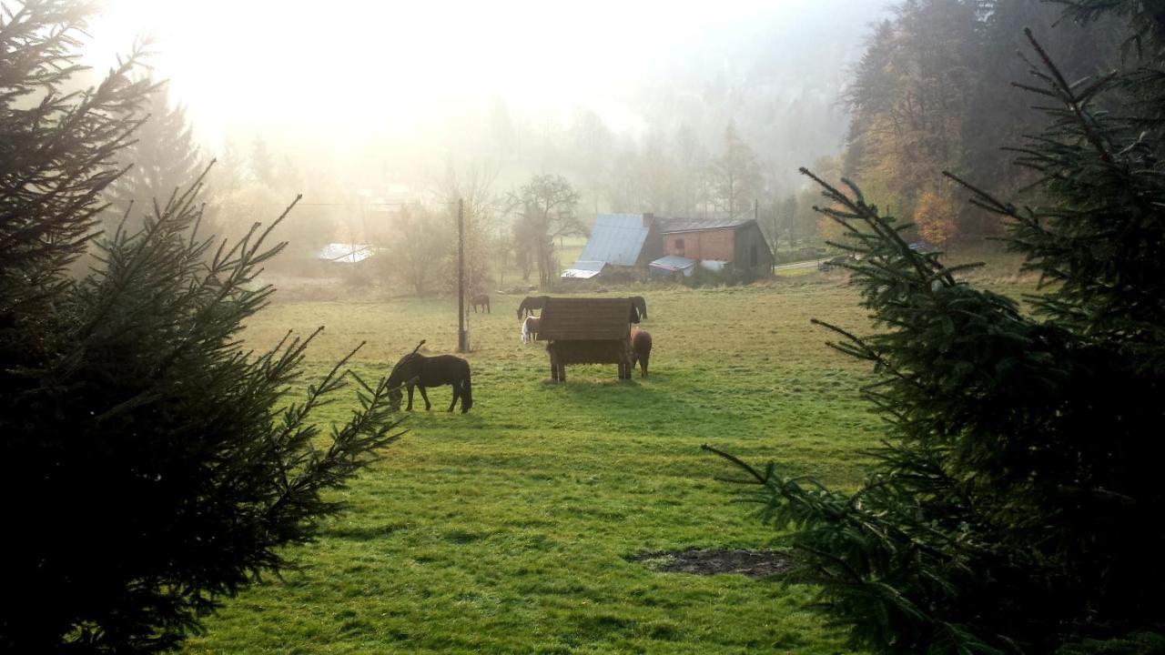 Villa Dom Trzech Braci Lądek-Zdrój Esterno foto