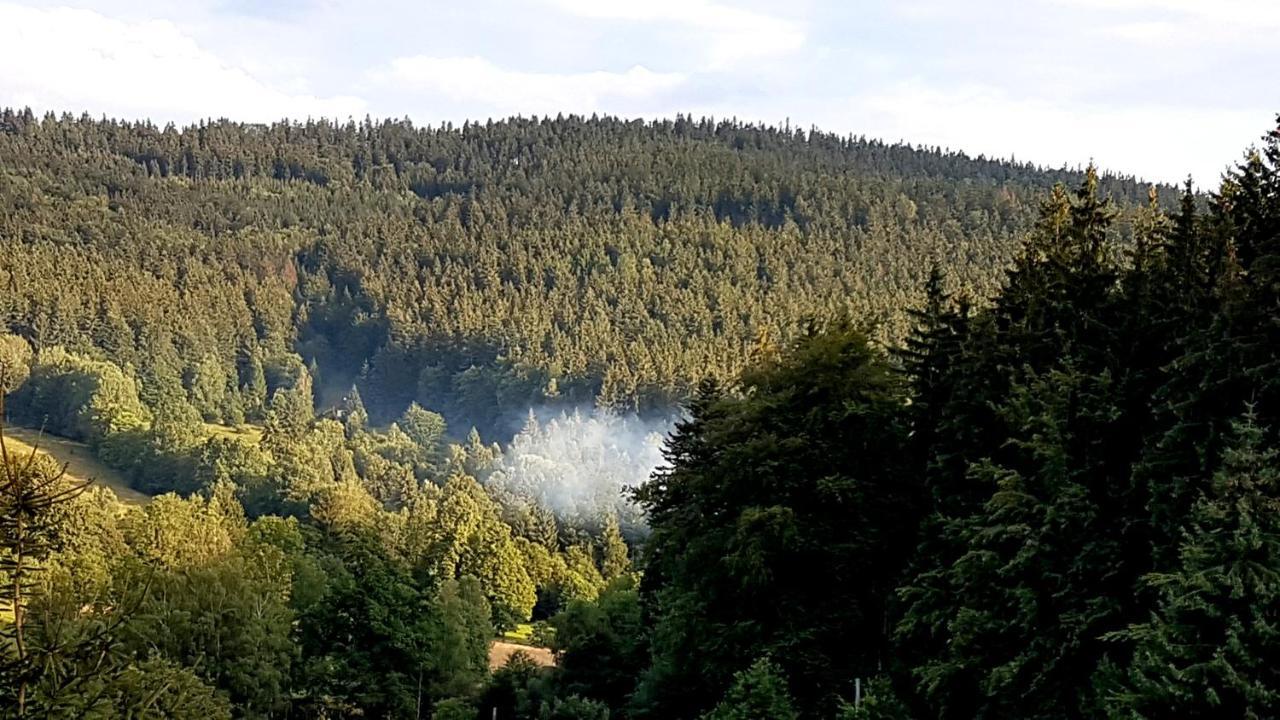 Villa Dom Trzech Braci Lądek-Zdrój Esterno foto